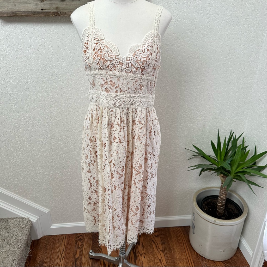 Anthropologie Hd In Paris Lace Overlay Midi Tan Cream Dress Size 10 Nwt